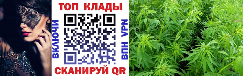 Купить Грайворон Амфетамин  A-PVP  Гашиш  МЕФ  COCAIN  Марихуана 