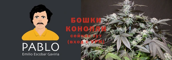 экстази Алексин