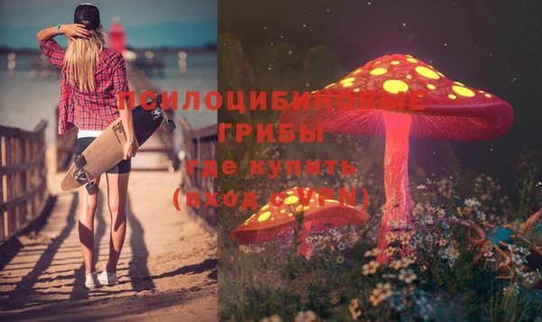 стафф Алексеевка
