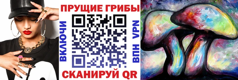 дарк нет наркотические препараты  Грайворон  Галлюциногенные грибы Magic Shrooms 